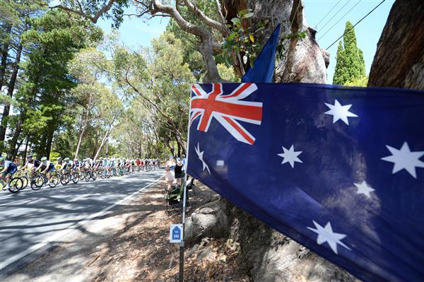 Fans watch the race